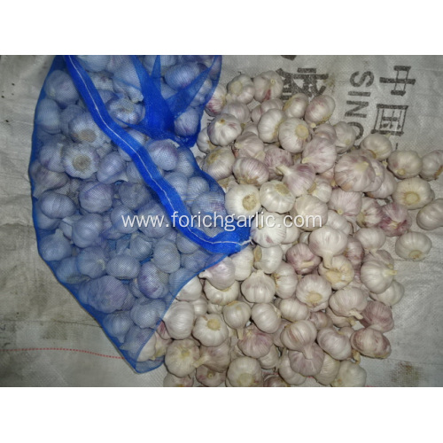 Hot Sale 2020 Normal White Garlic